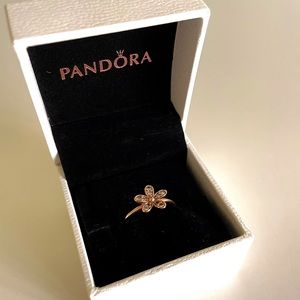 Rose Gold Daisy ring 🤍